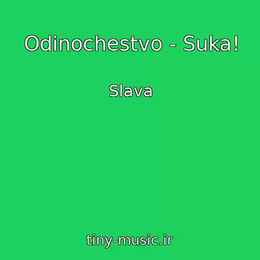 کاور آهنگ Odinochestvo - Suka! از Slava