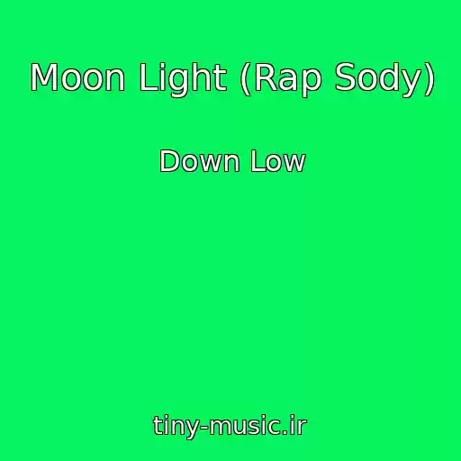 کاور آهنگ Moon Light (Rap Sody) از Down Low