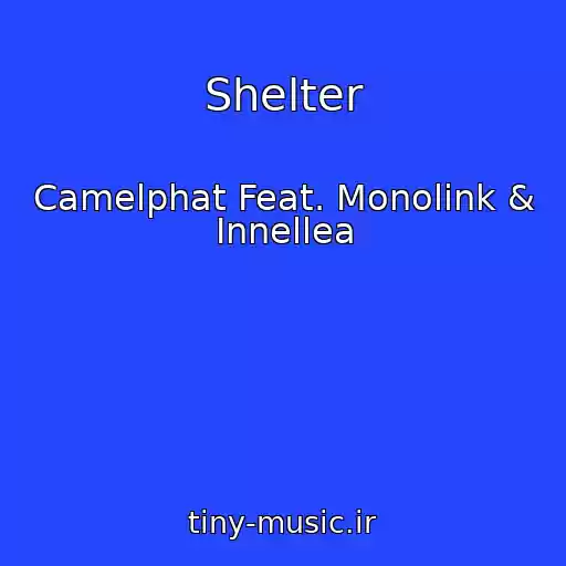 کاور آهنگ Shelter از Camelphat Feat. Monolink & Innellea