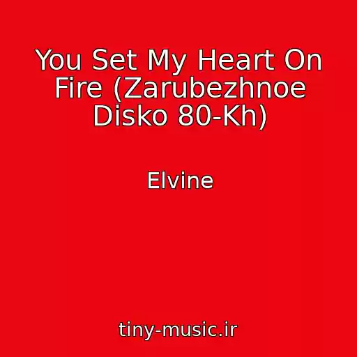 کاور آهنگ You Set My Heart On Fire (Zarubezhnoe Disko 80-Kh) از Elvine