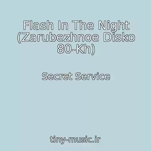 کاور آهنگ Flash In The Night (Zarubezhnoe Disko 80-Kh) از Secret Service