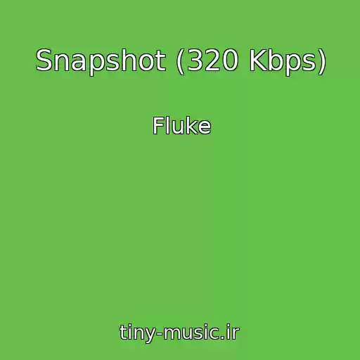 کاور آهنگ Snapshot (320 Kbps) از Fluke