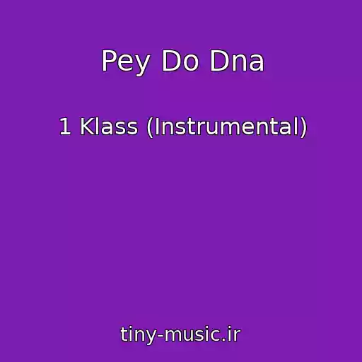 کاور آهنگ Pey Do Dna از 1 Klass (Instrumental)