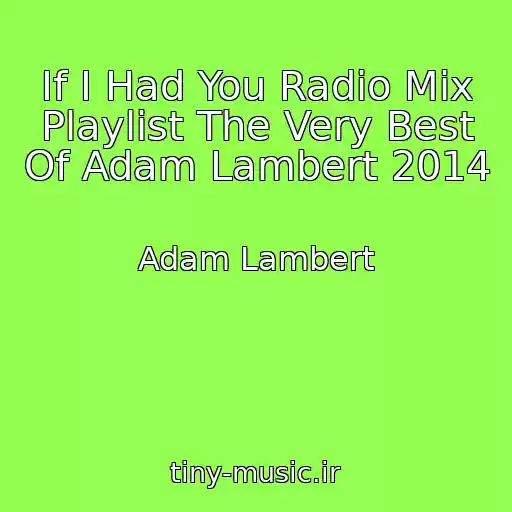 کاور آهنگ If I Had You Radio Mix Playlist The Very Best Of Adam Lambert 2014 از Adam Lambert