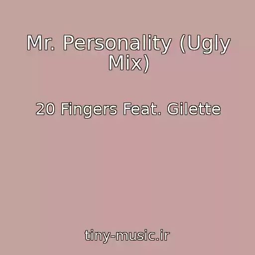 کاور آهنگ Mr. Personality (Ugly Mix) از 20 Fingers Feat. Gilette