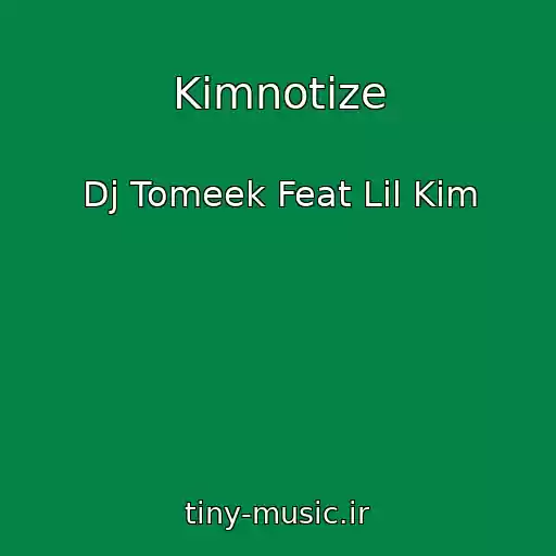 کاور آهنگ Kimnotize از Dj Tomeek Feat Lil Kim