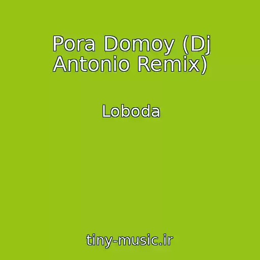 کاور آهنگ Pora Domoy (Dj Antonio Remix) از Loboda