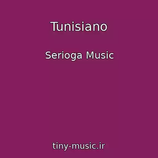 کاور آهنگ Tunisiano از Serioga Music