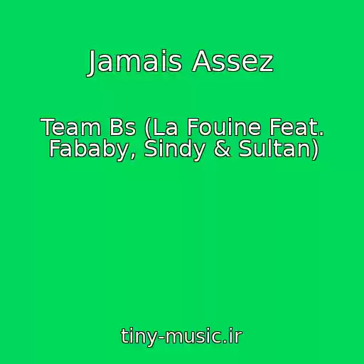 کاور آهنگ Jamais Assez از Team Bs (La Fouine Feat. Fababy, Sindy & Sultan)