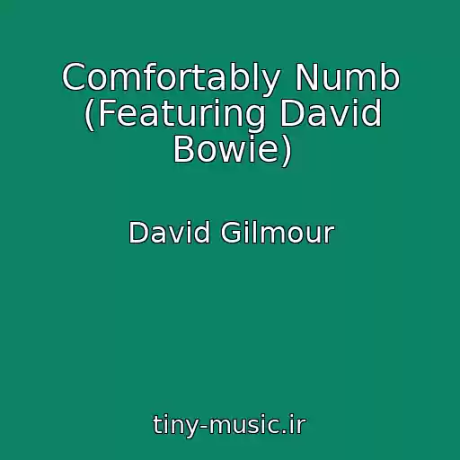 کاور آهنگ Comfortably Numb (Featuring David Bowie) از David Gilmour