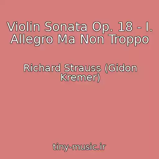 کاور آهنگ Violin Sonata Op. 18 - I. Allegro Ma Non Troppo از Richard Strauss (Gidon Kremer)