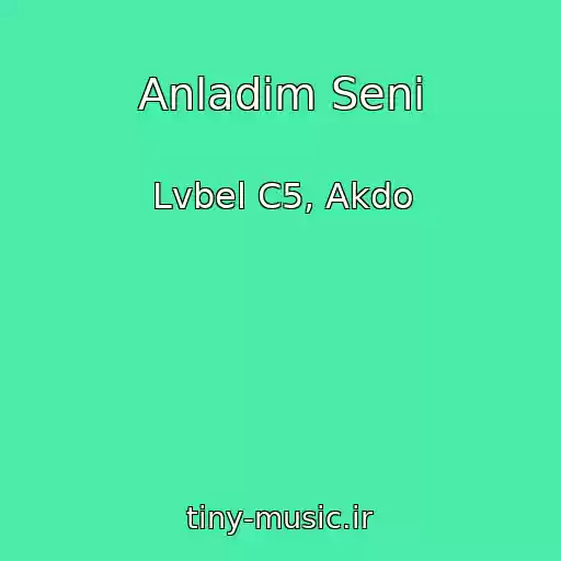 کاور آهنگ Anladim Seni از Lvbel C5, Akdo