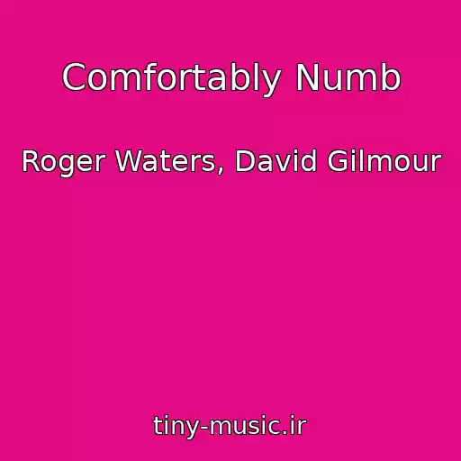 کاور آهنگ Comfortably Numb از Roger Waters, David Gilmour
