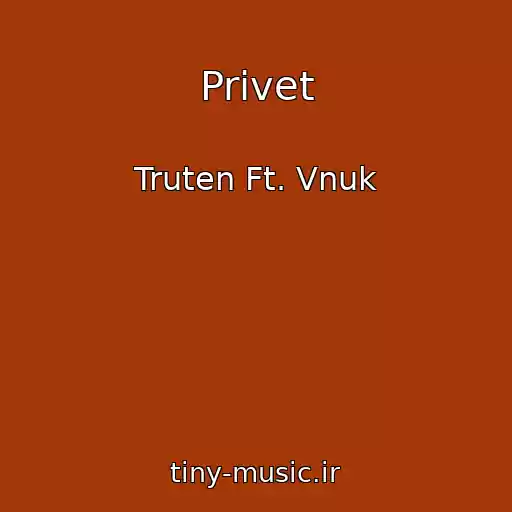 کاور آهنگ Privet از Truten Ft. Vnuk