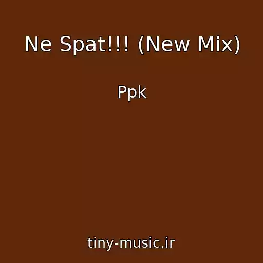 کاور آهنگ Ne Spat!!! (New Mix) از Ppk