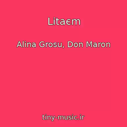 کاور آهنگ Lіtaєm از Alina Grosu, Don Maron