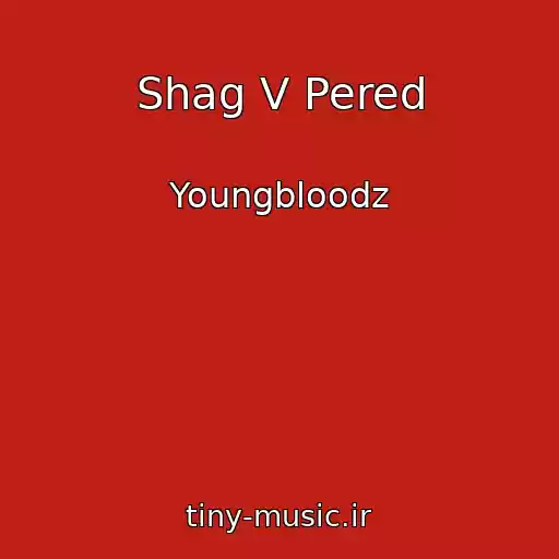 کاور آهنگ Shag V Pered از Youngbloodz