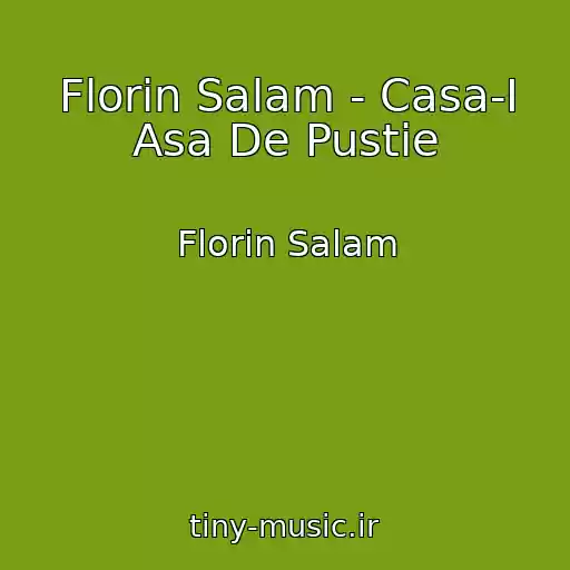کاور آهنگ Florin Salam - Casa-I Asa De Pustie از Florin Salam