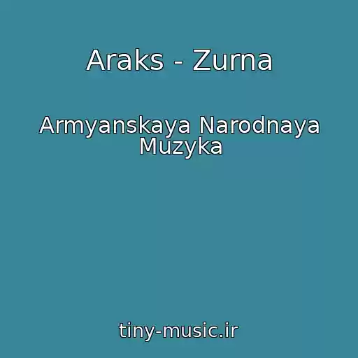 کاور آهنگ Araks - Zurna از Armyanskaya Narodnaya Muzyka