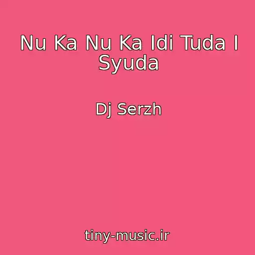 کاور آهنگ Nu Ka Nu Ka Idi Tuda I Syuda از Dj Serzh