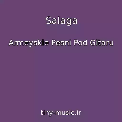 کاور آهنگ Salaga از Armeyskie Pesni Pod Gitaru