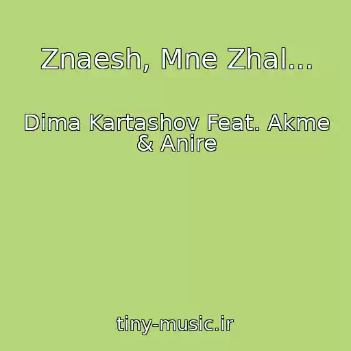 کاور آهنگ Znaesh, Mne Zhal... از Dima Kartashov Feat. Akme & Anire