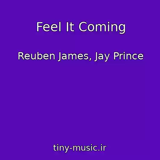 کاور آهنگ Feel It Coming از Reuben James, Jay Prince