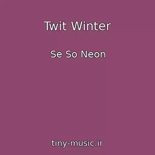 کاور آهنگ Twit Winter از Se So Neon