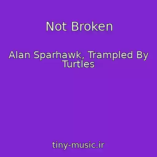 کاور آهنگ Not Broken از Alan Sparhawk, Trampled By Turtles