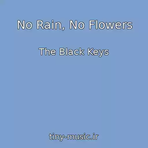 کاور آهنگ No Rain, No Flowers از The Black Keys