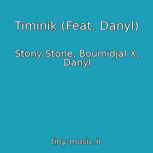کاور آهنگ Timinik (Feat. Danyl) از Stony Stone, Boumidjal X, Danyl