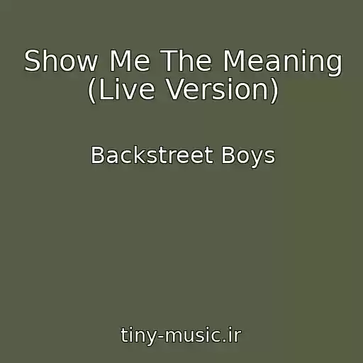 کاور آهنگ Show Me The Meaning (Live Version) از Backstreet Boys