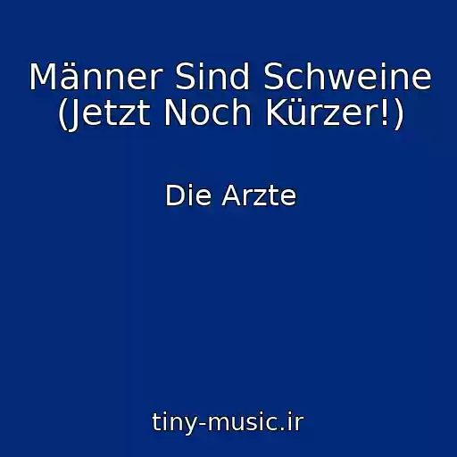 کاور آهنگ Männer Sind Schweine (Jetzt Noch Kürzer!) از Die Arzte