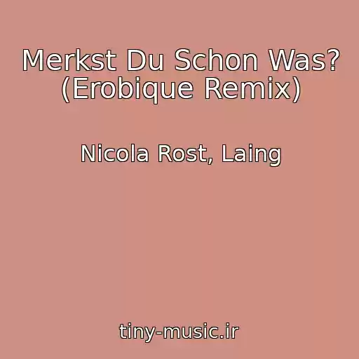 کاور آهنگ Merkst Du Schon Was? (Erobique Remix) از Nicola Rost, Laing
