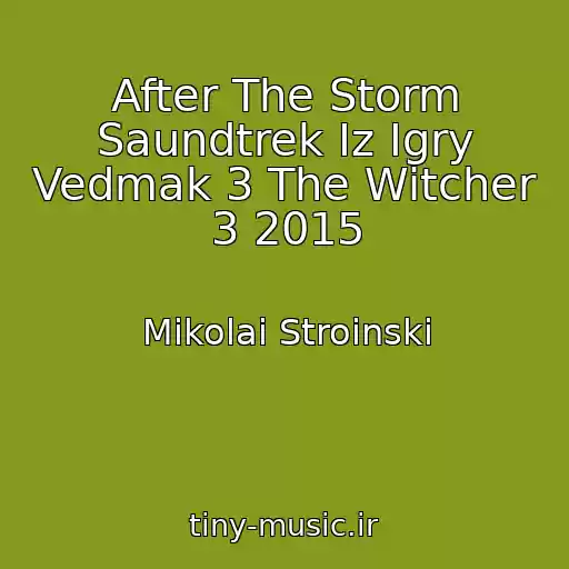 کاور آهنگ After The Storm Saundtrek Iz Igry Vedmak 3 The Witcher 3 2015 از Mikolai Stroinski