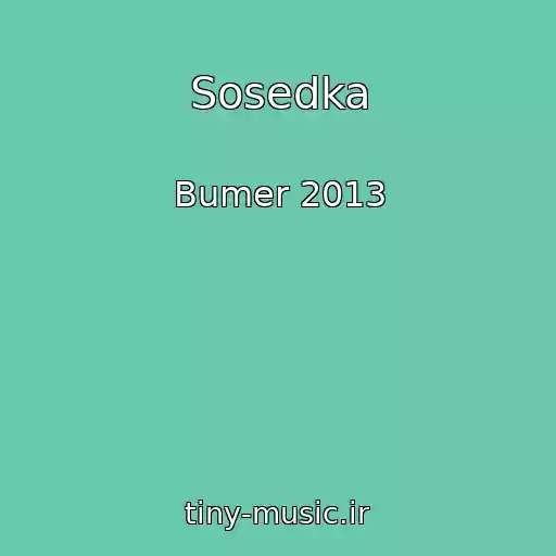 کاور آهنگ Sosedka از Bumer 2013
