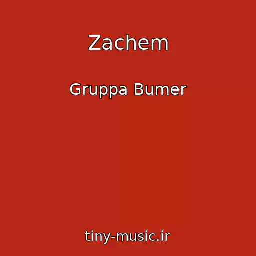 کاور آهنگ Zachem از Gruppa Bumer