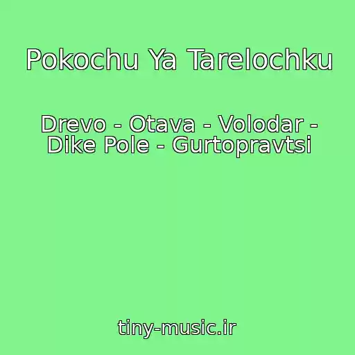 کاور آهنگ Pokochu Ya Tarelochku از Drevo - Otava - Volodar - Dike Pole - Gurtopravtsi