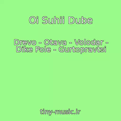 کاور آهنگ Oi Suhii Dube از Drevo - Otava - Volodar - Dike Pole - Gurtopravtsi