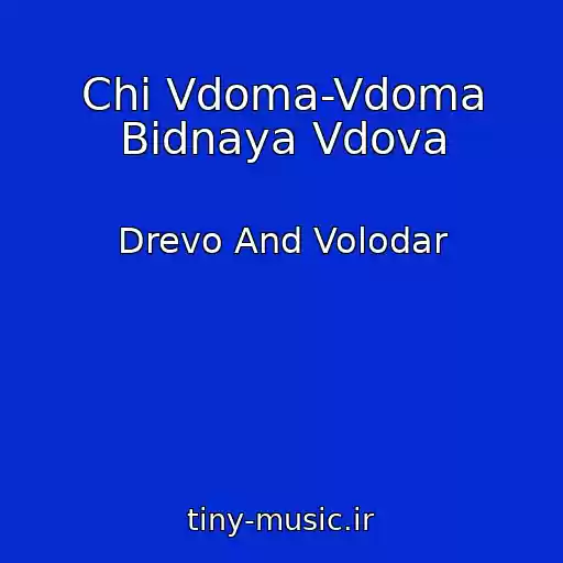 کاور آهنگ Chi Vdoma-Vdoma Bidnaya Vdova از Drevo And Volodar