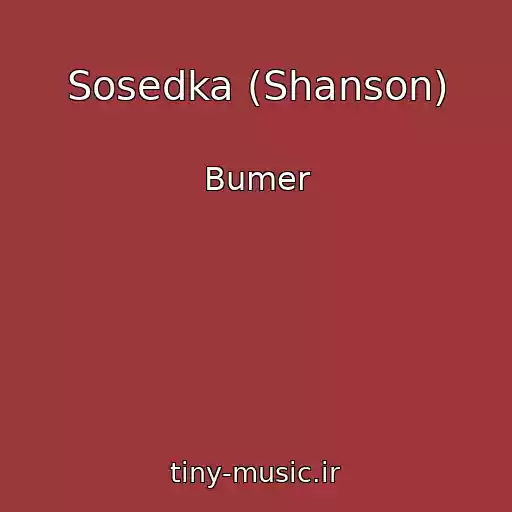 کاور آهنگ Sosedka (Shanson) از Bumer
