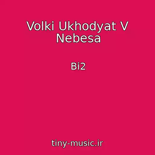 کاور آهنگ Volki Ukhodyat V Nebesa از Bi2
