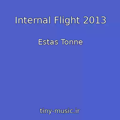 کاور آهنگ Internal Flight 2013 از Estas Tonne