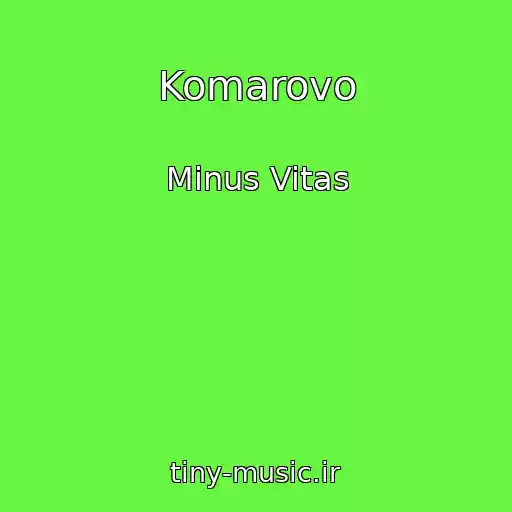 کاور آهنگ Komarovo از Minus Vitas