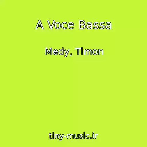 کاور آهنگ A Voce Bassa از Medy, Timon
