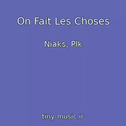 کاور آهنگ On Fait Les Choses از Niaks, Plk