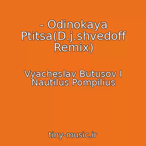 کاور آهنگ - Odinokaya Ptitsa(D.j.shvedoff Remix) از Vyacheslav Butusov I Nautilus Pompilius