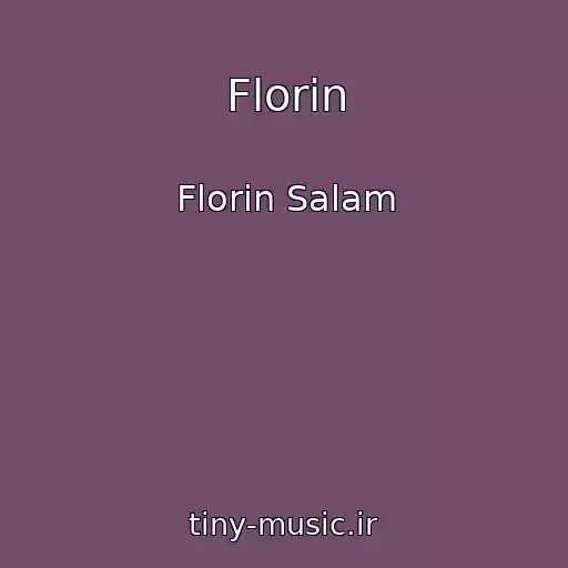 کاور آهنگ Florin از Florin Salam