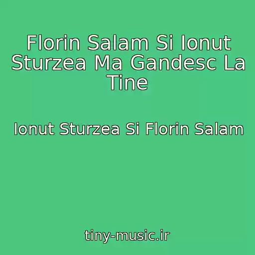 کاور آهنگ Florin Salam Si Ionut Sturzea Ma Gandesc La Tine از Ionut Sturzea Si Florin Salam