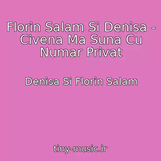 کاور آهنگ Florin Salam Si Denisa - Civena Ma Suna Cu Numar Privat از Denisa Si Florin Salam